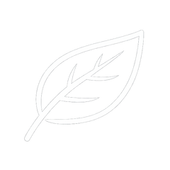 White leaf icon on a white background